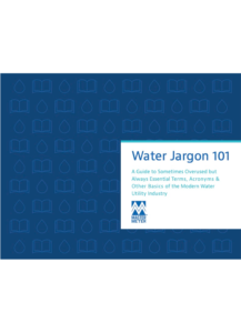 smart water and modern water utility jargon ebook primer